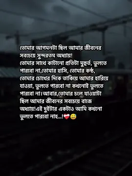 তোমার আগমনটা ছিল আমার জীবনের সবচেয়ে সুন্দরতম অধ্যায়.!😊❤️‍🩹#foryou #fyp #lyrics #end_page_10_ #bdtiktokofficial  @TikTok @TikTok Bangladesh @tiktok creators 