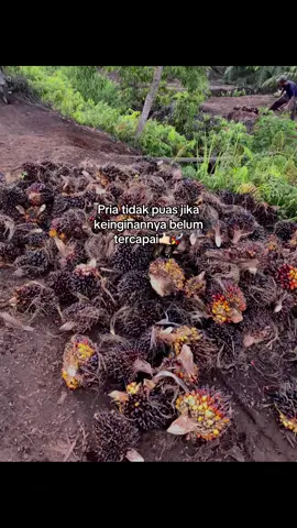 TBM-TM itu lah proses 🔥#fyp 