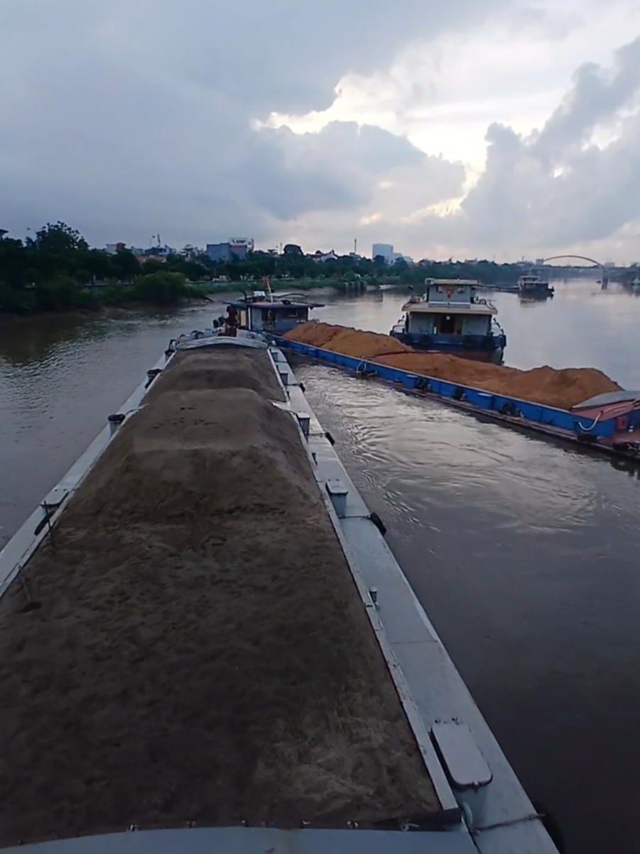 đang bon bon thì tắc đường#xuhuong #dantauthuyen #ngocbaoan #tauthuyenmienbac #haiphong 