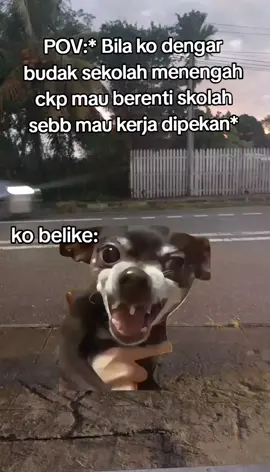 selalu beginii wkwkwkwkw, padahal kerja lagi susah dripada sekolah#fyp 