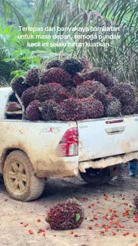 Iyaam#4u #xybca #fypage #viralfyp #CapCut #foryoupage #bismillahfyp #masukberanda #triton4x4club #hilux4x4offroad💯 #tokesawitmuda #sawitontiktok 