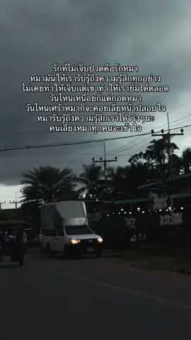 คิดถึงเฟียจังเลย😢😭🐕🕊️🤎#ทาสหมา #รักหมาไม่เคยเจ็บเลยสักวัน #หมา #เธรดความรู้สึก #สตอรี่_ความรู้สึก😔🖤🥀 