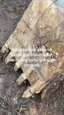 🤭🤪🤣#operator_excavator #operatormuda #operatormudapunyacerita #fypage #fyp 