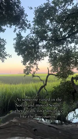 If you get it, you get it 🌾☀️ #lowcountryliving #southcarolina #southerncharm 