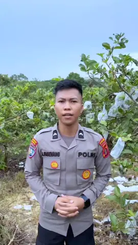 Kali ini Subdit Bhabinkamtibmas beserta seluruh Staf sedang melaksanakan giat Bertani demi menjaga ketahanan pangan diwilayah provinsi  Kalimantan Timur  #polriuntukmasyarakat 