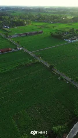 Cuman mini ☺️ #dji #djimini3 #drone #wonderfullindonesia 