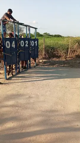 #corrida de jegue  #corrida de jerico #presão🚀