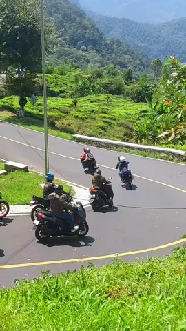 indahnya panorama di tikungan kelok seribu #ciwidey #bandung #foryoupage #fyp 