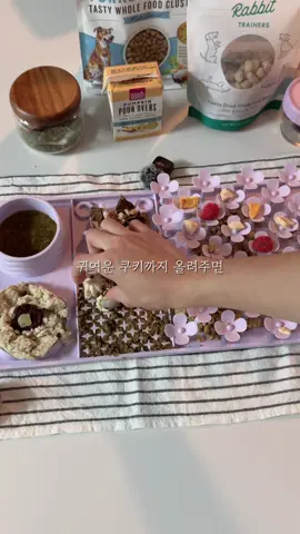 자리차지하는 식판 써보기 #homemadedogfood #dogfoodrecipe #dogeating 