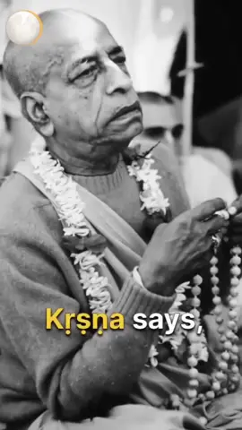 Surrender to Krishna ❤️‍🔥✨#harekrishna🦚 #prabhupada #chanting #explore #spirituality 