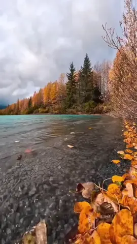 #paratiiiiiiiiiiiiiiiiiiiiiiiiiiiiiii #viral_video #graciasporelapoyo #tik_tok #ricardovonteoficial 