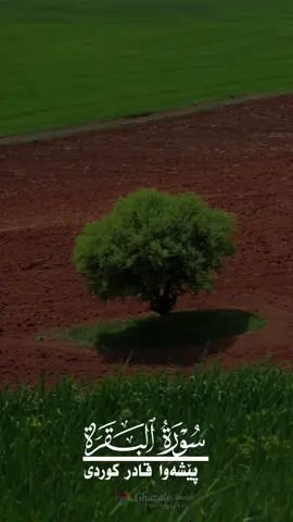 #CapCut #الله_اكبر #آمین_یارب_العالمین🙏🕋🤲🕋🤲🕋 #اللّهُمّ_بَلِغٌنَا_رمَضَان #اللهم_صل_وسلم_وبارك_على_نبينا_محمد🌹💙 