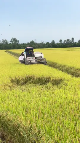 Hết ngày 43c đủ sống😆😆@FB : Kha nhỏ team 63 @NHÀ BÁC HỌC @💕🇻🇳phong dùi🇻🇳🎠 62 *LA* @vănđây63 @Le ngoc Tiền @Khánh Tiếnn @Danh Cá Chép @Văn Cườngg @Tuấn Kiệt @Tấn Đạt #xuhuongtiktok 