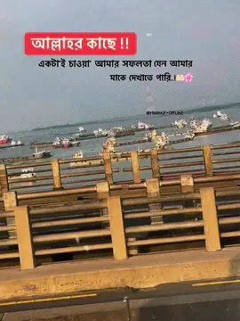 একটাই চাওয়া..!🤲🏻🌸 . . #foryoupage #tiktok #viral #fpyシ #caption 