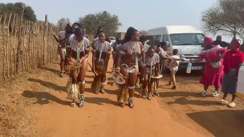 EMashobeni.🤍🤍🤍 #fyp #umkhosiwomhlanga2025 #emashobeniroyalpalace #gcinaubuntombibakho 