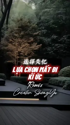选择失忆 - Lựa Chọn Mất Đi Kí Ức #nhachaymoingay #盛宇shengyu #capcut #capcutpioneer #pioneertemplate 