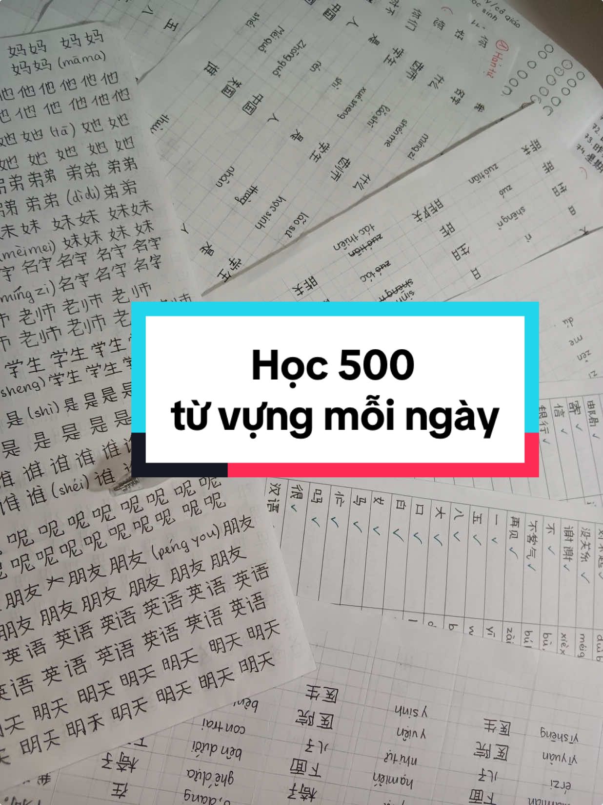 Lợi ích học từ mới tiếng Trung và học Excel Học từ mới tiếng Trung giúp cải thiện giao tiếp, mở rộng hiểu biết văn hóa và tăng cơ hội học tập, làm việc quốc tế. Trong khi đó, học Excel nâng cao kỹ năng xử lý dữ liệu, tăng hiệu quả công việc và là lợi thế lớn trong môi trường văn phòng. Cả hai đều bổ ích, tùy mục tiêu cá nhân mà ưu tiên.  #tiengtrungmoingay #tiengtrungkhongkho #xhuonggggg🐰 #hsk 