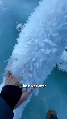 What kind of ice is this#fyp #popular #ice 