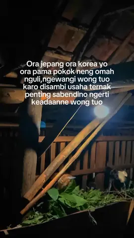 😇😇#storypeternakmuda #peternakkambing #peternaksapiindonesia #foryoupage #fyp 