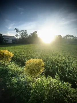“夜里，很多思绪涌上心头……有些事无法用言语表达，只能留待时间去独自面对。” “Đêm xuống, bao suy tư lại ùa về… có những điều không thể nói thành lời, chỉ biết giữ trong thời gian và tự mình đối diện.”