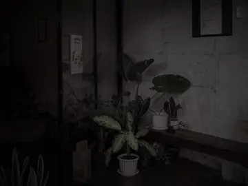 Nhung van lua chon se giau cam xuc minh lai.. 