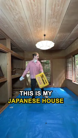 Day 57 Renovating my $25K Japanese House 🏡 What color should we choose for the tatami mats? 💥🔨 #Japandi