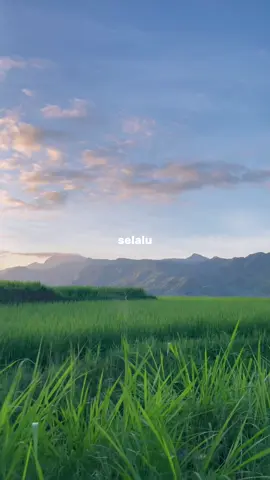 “Selalu ada pelangi pada setiap mendungnya”#fyp#raimlaode#foryoupage#xyzbca#soundviral 