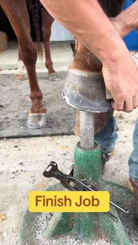 Crimping them nails. #fyp #farriersoftiktok #satisfyingvideo #asmr #horsesoftiktok 