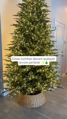 🎄🌟✨🎅🏻 #natal #luzdenatal #arvoredenatal #christmas #LaPuraCrema 