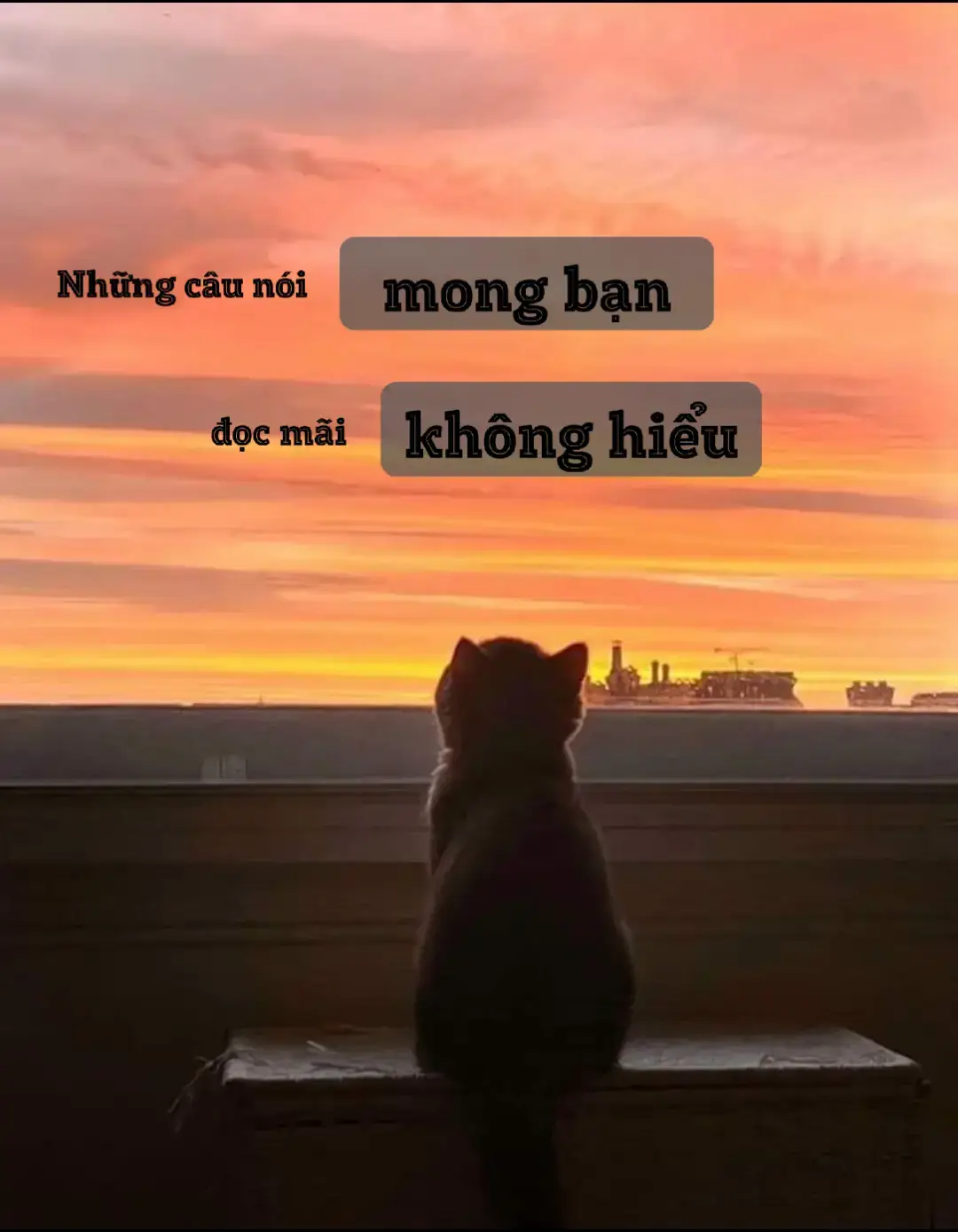 Chiếc áo mà bạn thích nhất, sẽ là chiếc nhanh cũ nhất trong tủ quần áo. #caption #nhactamtrang #tamtrang #statustamtrang #tamtutinh 