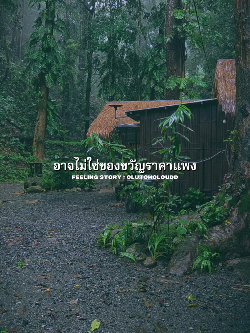 การกระทำสำคัญกว่าคำพูดเสมอ #เทรนด์วันนี้ #แม่กำปอง #ฤดูฝน #capcut_edit #ธรรมชาติบําบัด 