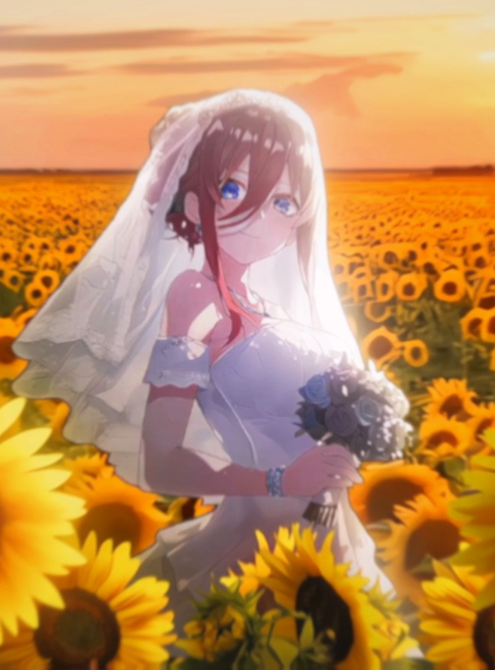 Miku Nakano 🌹🧡🌻 The most majestic edit that I ever made This isn't AI I spend hours on thi #mikunakano #quintessentialquintuplets #goldenbrown #hanasq #アニメ 