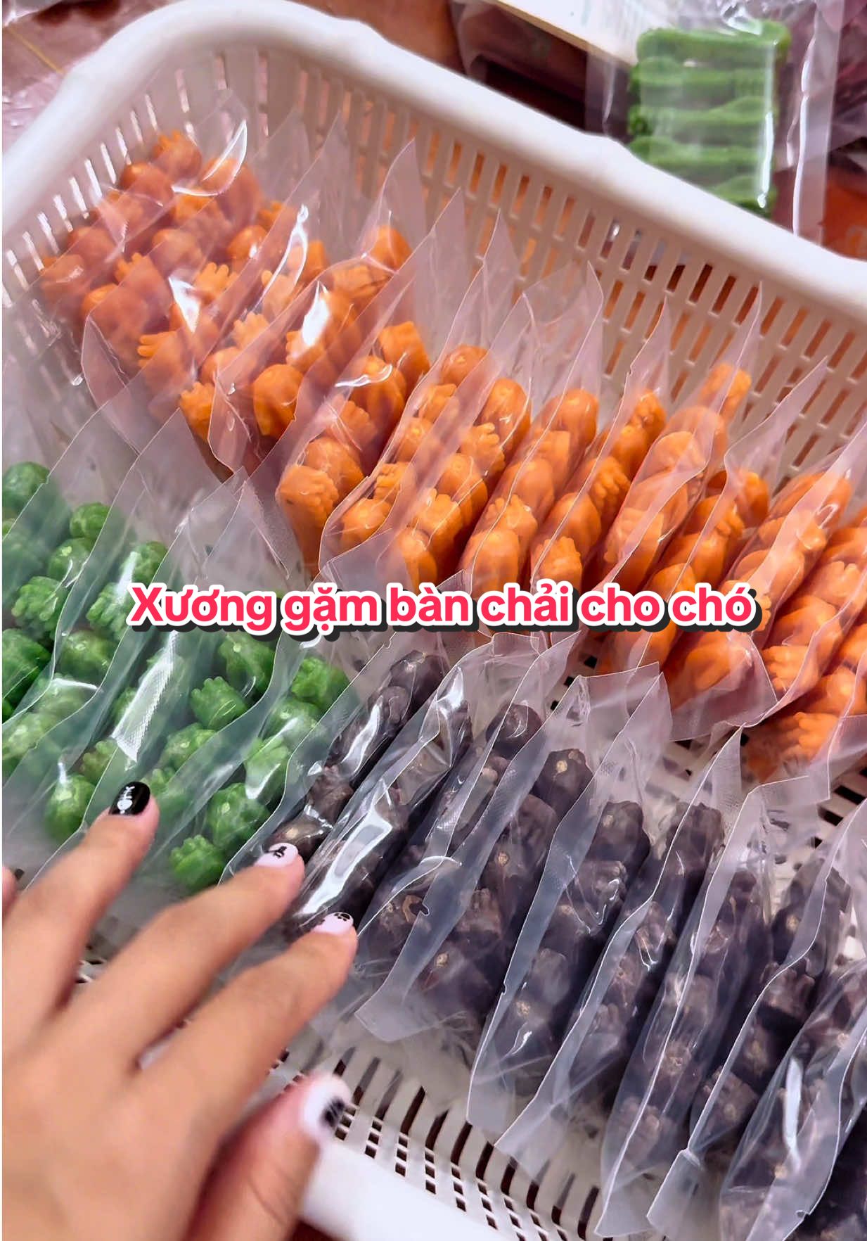 Xương gặm bàn chải cho chó giảm mùi hôi miệng, bổ sung canxi #xuonggamchocho #xuonggambanchai #petkingdomucung #xuonggamsachrang #thucancho 