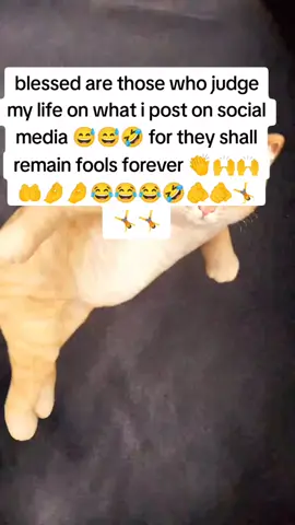 #creatersearchinsights #fpyシ #gulfkanawut #fypage 