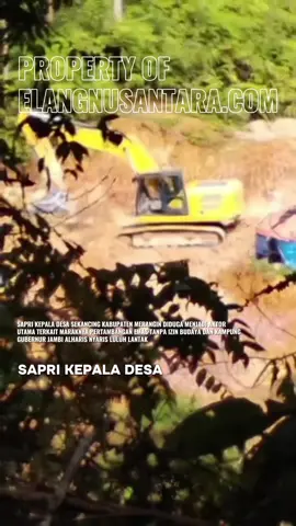 SAPRI KEPALA DESA SEKANCING KABUPATEN MERANGIN DIDUGA MENJADI AKTOR UTAMA TERKAIT MARAKNYA PERTAMBANGAN EMAS TANPA IZIN BUDAYA DAN KAMPUNG GUBERNUR JAMBI ALHARIS NYARIS LULUH LANTAK