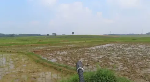 Lông lá là nó yêu nhiều lắm 🤣