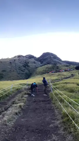 gajah mungkur 🥺 #mtsumbing3371mdpl #sumbingviagajahmungkur #4u #fyp 