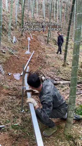 A simple invention transforming hillside farming #SATISFYING #engineering #invention #farming #LifeHack 
