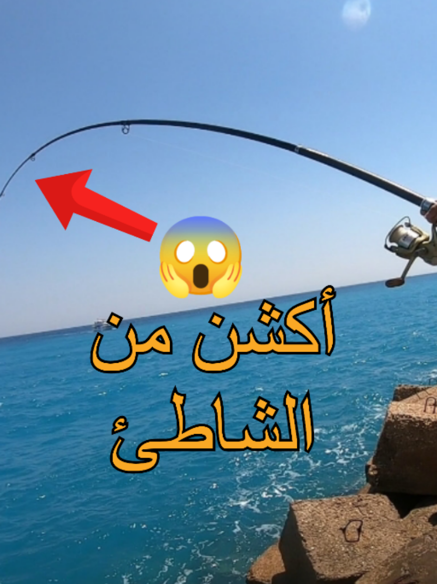 مغامرة صيد قوية من الشاطئ وصراع مع وحوش الشواطئ في العين السخنة 🔥🎣 الفيديو كامل على قناة اليوتيوب اللينك في البايو... واهم حاجه متنساش تتابع #موسوعة_الصيد #fishing_pedia  #صيد #redsea #صيد_شاطئ 