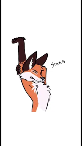 Good morning 😴 #furry #furrycommunity #digitalart #fox #funny 