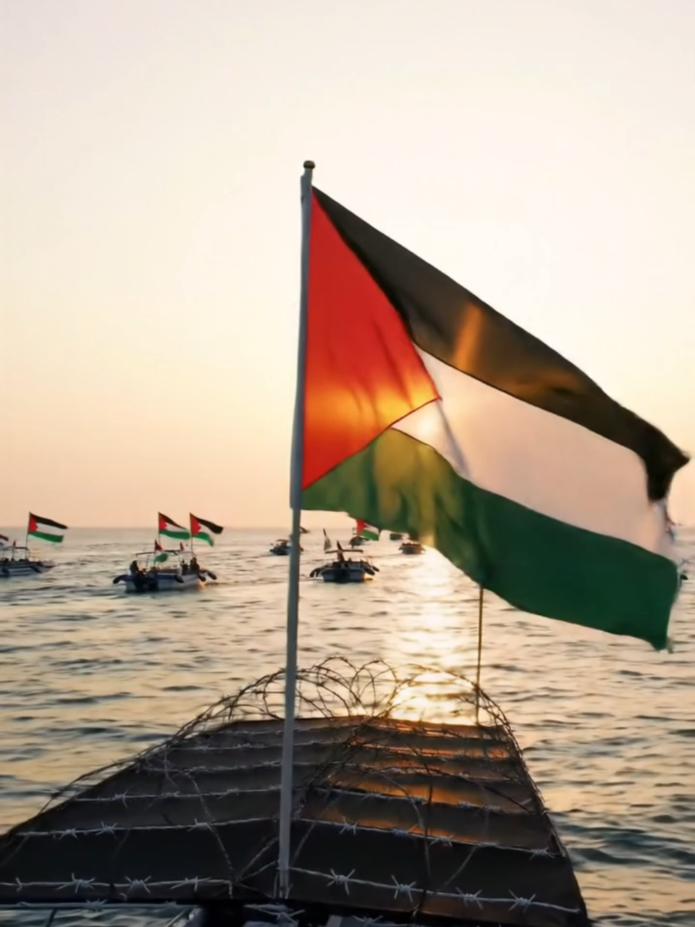 Iran To Palestine 🇵🇸 Palestine Palestine #palestine #trendingvideo #fyp #palestine #qatar 