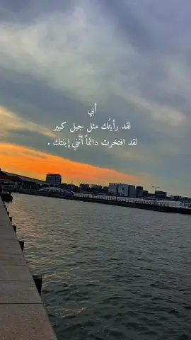 لا رجل كالأب ولا أحد كأبي .. ❤️ #ابي #انت_الاستاذ #فخر #سند #أب #والد #حب #عائلتي #بحر #غروب #اكسبلور #فوريو #father #family #loveyou #famiele #explore #for  #foryour 