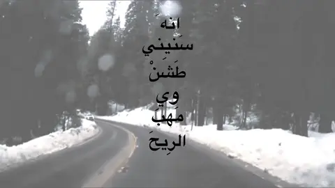 انه سنيني طشن وي مهب الريح 🍃😓✨ #شعراء_وذواقين_الشعر_الشعبي🎸 #شعراء_الجنوب #تصميمي #اشعار #حسين_الدليهم 