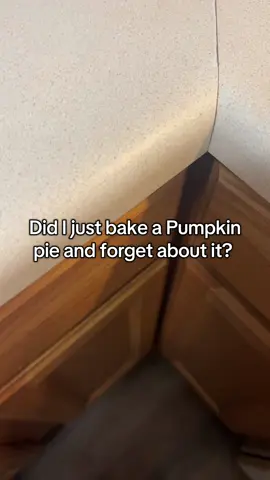 I think I forgot about my pie #pumpkinpie #bakedpies #pumpkinsouffle #waxmelts #jumbowax 