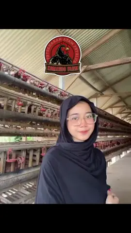 Titip Farm Ayam petelur, kami memudahkan Anda untuk berinvestasi di peternakan Ayam Petelur dengan sistem titip ternak yang aman dan menguntungkan. Cukup titipkan modal Anda, kami yang urus semuanya hingga siap panen! 📊Keuntungan yang Anda dapatkan. ➡️Perawatan Profesional: Ayam Ras petelur Anda dikelola oleh ahlinya. ➡️Pantau Setiap Waktu: Update perkembangan secara real-time. ➡️Hasil Panen Optimal: Nikmati keuntungan tanpa reuntuk Investor Pemula ✨Investasi mudah, untung maksimal.Yukk! panen telur sambil panen cuan bareng Titip farm ayam petelur #treanding #tiktok #ternakayampetelur #pengusahasukses #fypシ 