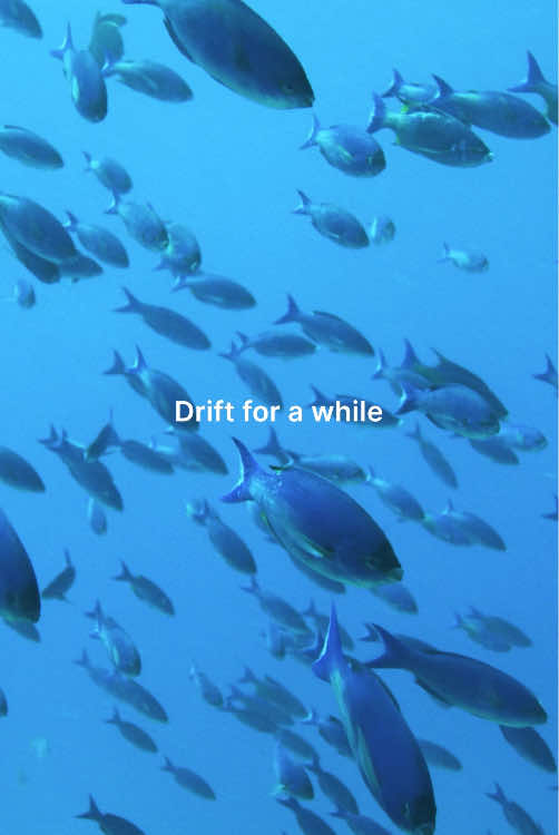No thoughts. Just an invitation to slow down and drift alongside these fish in the endless blue. 🐟  #EarthMoods is now streaming on @Disney+
