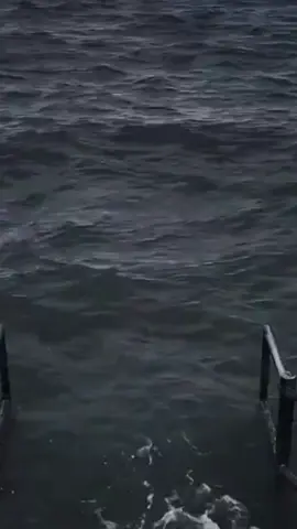 P5☠️#meme#sekeleton#hoangkimcot#xuhuong#vira