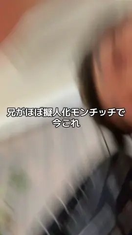 モンチッチに失礼ですねすみません ちなみに頭髪検査のとき友達に失敗されたらしいです笑笑 #兄弟#モンチッチ #梶原叶渚 