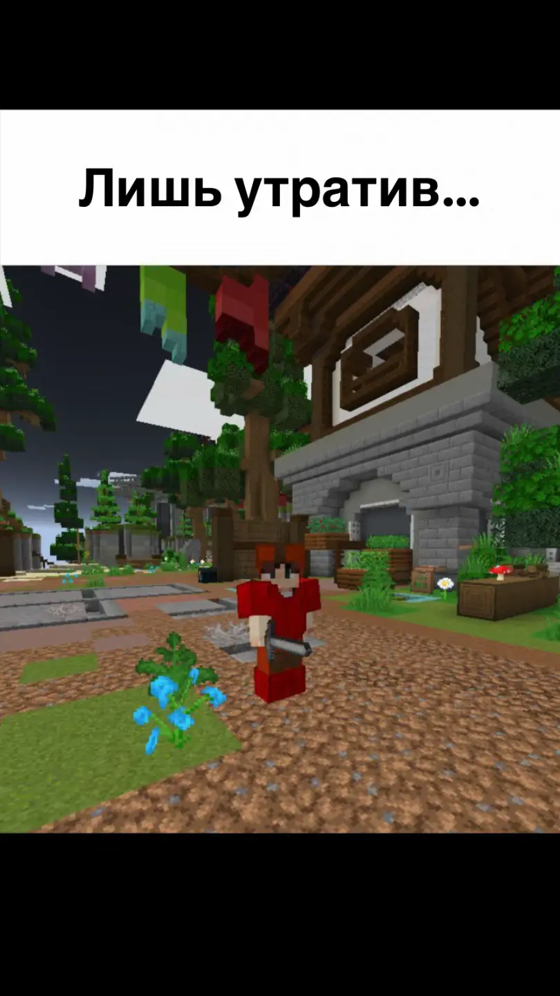 Факт? tt.funtime.su #lowok #фантайм #майнкрафт #пионер #pvp 