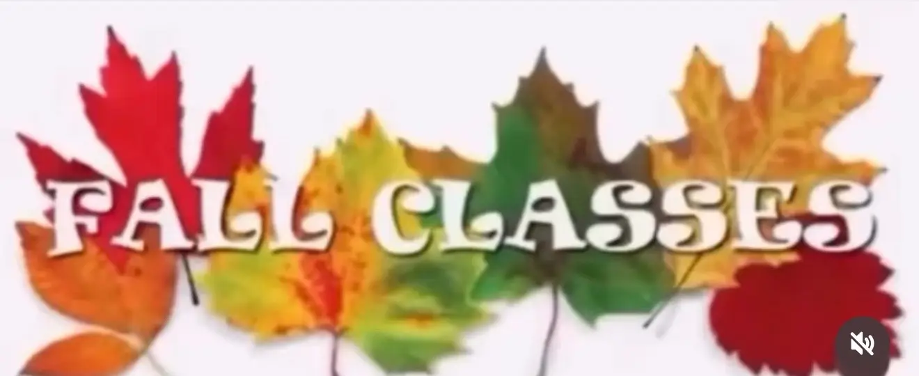 Register Now For Fall Classes www.faulknerselite.com/page/system/classreg-shopping#faulknerselitegymnastics#faulknerselite#faulknerselitegraham#faulknerselitetrainingcenter#gymnasticsfacility     